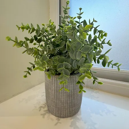 Allerby Apartamento
